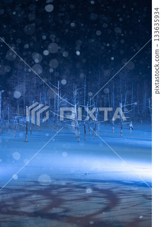 雪天裡的藍池燈光 雪天裡的藍池燈光 133635934