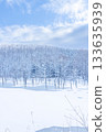 北海道壯麗的冬季景色：晴朗冬日的青池 133635939