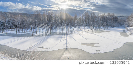 北海道壯麗的冬季景色：晴朗冬日的青池 133635941