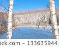 北海道壯麗的冬季景色：晴朗冬日的青池 133635944