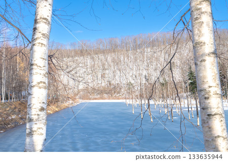 Hokkaido's spectacular winter scenery: Blue Pond on a clear winter day Hokkaido's spectacular winter scenery: Blue Pond on a clear winter day 133635944