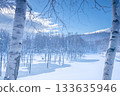 北海道壯麗的冬季景色：晴朗冬日的青池 133635946