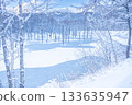 北海道壯麗的冬季景色：晴朗冬日的青池 133635947