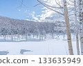 北海道壯麗的冬季景色：晴朗冬日的青池 133635949