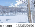 北海道壯麗的冬季景色：晴朗冬日的青池 133635950