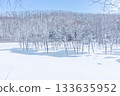 北海道壯麗的冬季景色：晴朗冬日的青池 133635952