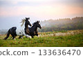 Two horses, black and piebald, gallop across a green field. 133636470