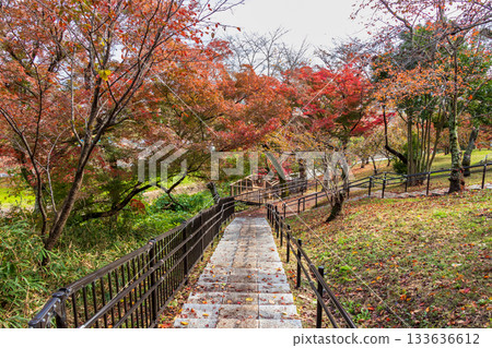 The hiking trail of Mt. Mimuro, decorated with maple leaves 133636612