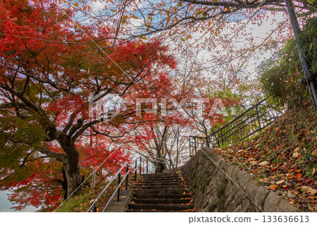 公園入口處裝飾著紅楓葉。 133636613