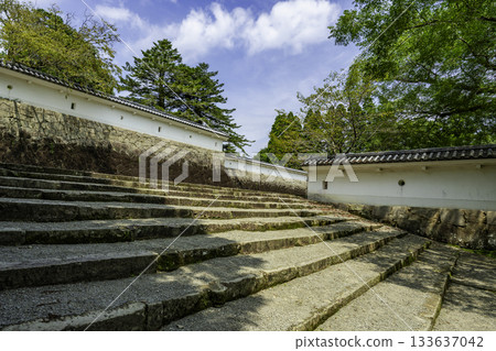 Obi Castle Masugata Tonoguchi (Masugata Tiger's Gate) Nichinan City, Miyazaki Prefecture 133637042