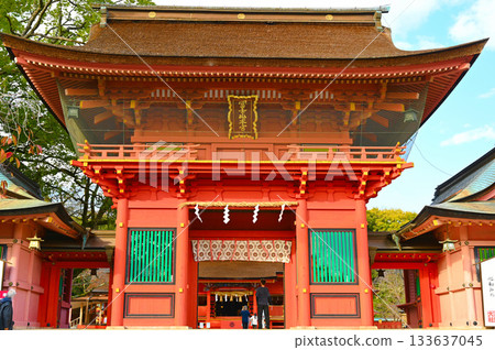 富士山本宮淺間大社塔門 富士宮市 富士山本宮淺間大社塔門 富士宮市 133637045
