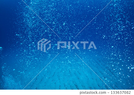 Diver's Bubbles Ogasawara Diver's Bubbles Ogasawara 133637082