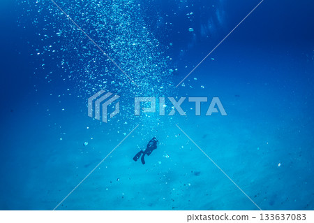 Diver's Bubbles Ogasawara Diver's Bubbles Ogasawara 133637083
