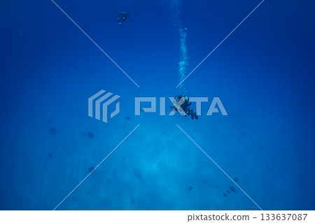 Diver Ogasawara 133637087