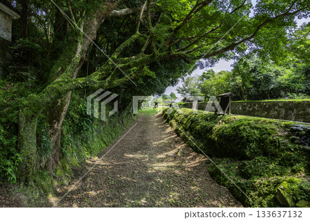 宮崎縣日南市帶木城土方工程 133637132