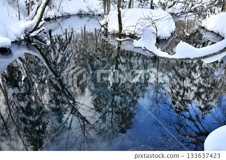 The mysterious appearance of Kaminoko Pond in winter The mysterious appearance of Kaminoko Pond in winter 133637423