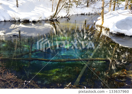 冬季神秘的卡米諾科池塘 133637960