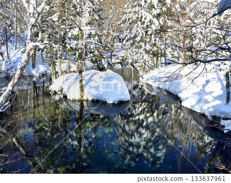 冬季神秘的卡米諾科池塘 133637961
