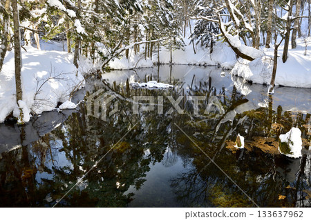 冬季神秘的卡米諾科池塘 133637962