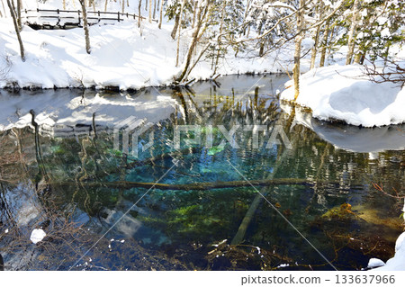 冬季神秘的卡米諾科池塘 133637966