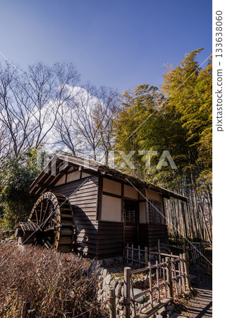 Flowers that bloom modestly and gracefully, enduring the cold of winter and welcoming the warm spring 133638060