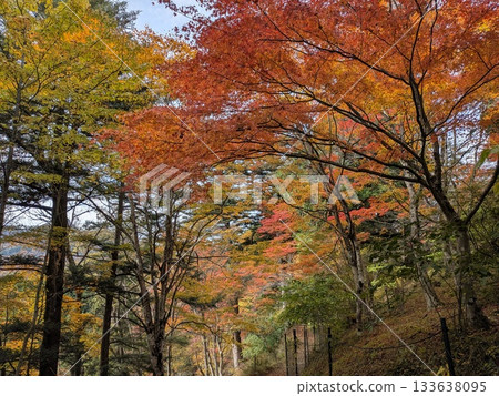 禦岳峽谷的秋天（世界百佳水域） 133638095