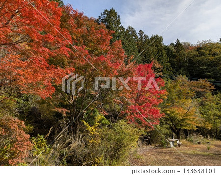 昭泉峽(風景名勝區、平成百大名水、平成百大名景、秋葉名勝) 昭泉峽(風景名勝區、平成百大名水、平成百大名景、秋葉名勝) 133638101