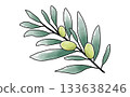 Hand-painted watercolor simple olive branch illustration material Olive Branch 133638246