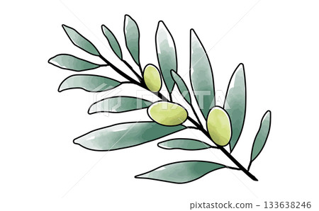 手繪水彩簡約橄欖枝插畫素材 橄欖枝 手繪水彩簡約橄欖枝插畫素材 橄欖枝 133638246