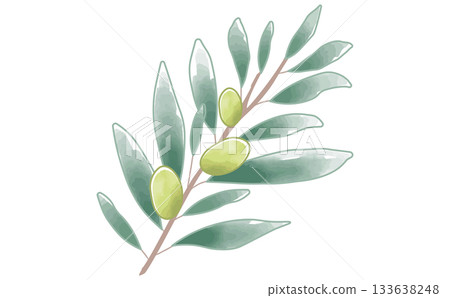 手繪水彩簡約橄欖枝插畫素材 橄欖枝 手繪水彩簡約橄欖枝插畫素材 橄欖枝 133638248