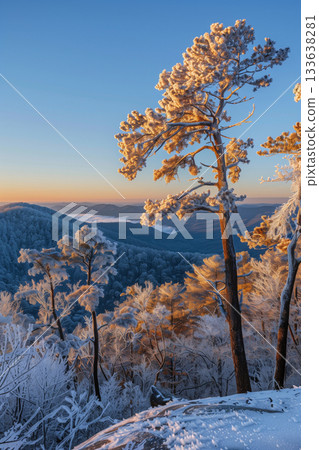Winter wonderland view with frosted trees and distant mountains at sunset 133638281
