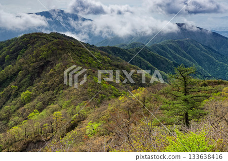 View of the fresh greenery of the main ridge and clouds rising from Mount Oyama in Tanzawa View of the fresh greenery of the main ridge and clouds rising from Mount Oyama in Tanzawa 133638416