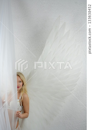 Beauty woman with angel wings in a studio setting Beauty woman with angel wings in a studio setting 133638452