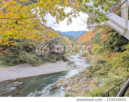 禦岳峽谷的秋葉(日本百大名水之一) 禦岳峽谷的秋葉(日本百大名水之一) 133638645