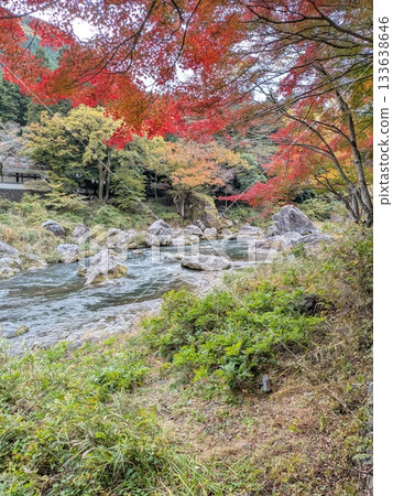 禦岳峽谷的秋葉（日本百大名水之一） 133638646