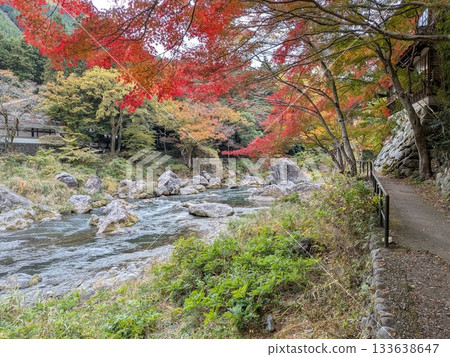 禦岳峽谷的秋葉(日本百大名水之一) 禦岳峽谷的秋葉(日本百大名水之一) 133638647