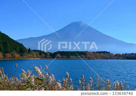 狸湖、富士山、秋葉、富士宮市 133638740