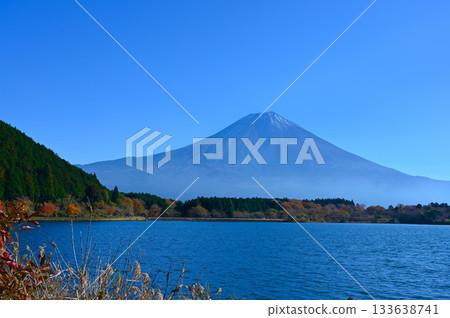 Lake Tanuki, Mount Fuji, autumn leaves, Fujinomiya City 133638741