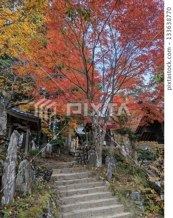 禦嶽山（武藏禦岳神社）的紅葉 133638770