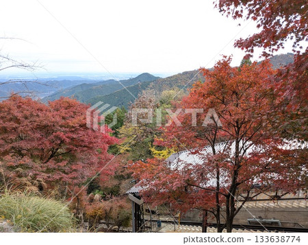 Autumn leaves at Mt. Mitake (near the Mitake Tozan Cable Car) 133638774