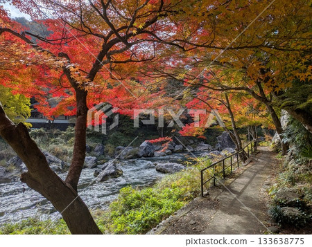 Autumn leaves at Mitake Gorge (one of Japan's 100 famous waters) 133638775
