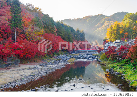 Morning autumn leaves at Korankei and Taizuki Bridge (Asuke Town, Toyota City, Aichi Prefecture) 133639855