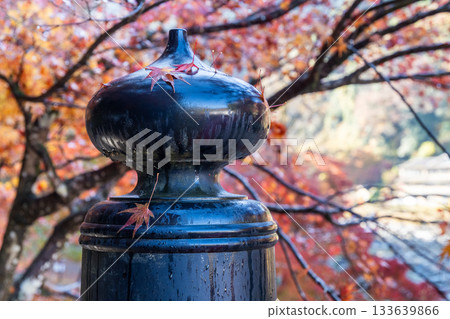 The spires of Taigetsu Bridge in autumn, wet with morning dew (Korankei, Asukecho, Toyota City, Aichi Prefecture) 133639866