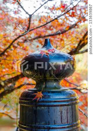 The spires of Taigetsu Bridge in autumn, wet with morning dew (Korankei, Asukecho, Toyota City, Aichi Prefecture) 133639867