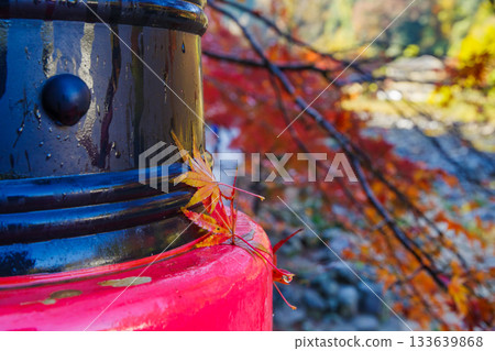 The railings of Taizuki Bridge in autumn, wet with morning dew (Korankei, Asukecho, Toyota City, Aichi Prefecture) 133639868