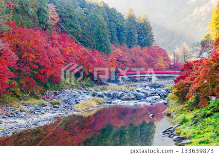 清晨秋葉映照在香嵐溪和泰月橋(愛知縣豐田市足助町) 清晨秋葉映照在香嵐溪和泰月橋(愛知縣豐田市足助町) 133639873