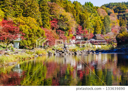 香嵐溪和香嵐溪橋的秋葉(愛知縣豐田市足助町) 香嵐溪和香嵐溪橋的秋葉(愛知縣豐田市足助町) 133639890