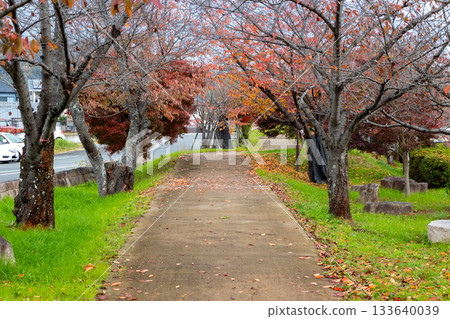 奈良縣龍田公園的步道 133640039