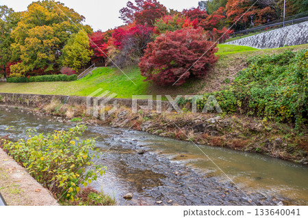 奈良縣的龍田川秋景 133640041