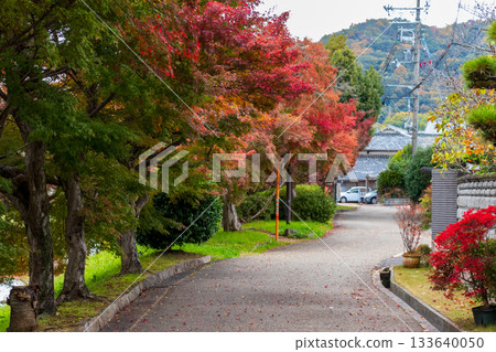 楓樹林蔭路 133640050